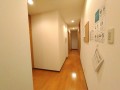 ／SA196 SA-クロス淀屋橋1 #3