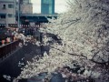 ／N1 クロス中目黒1 #18